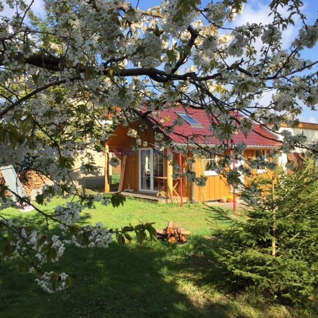 Ferienwohnung Niesky 객실 사진